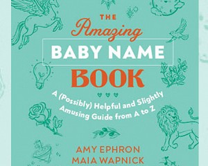 The Amazing Baby Name Book